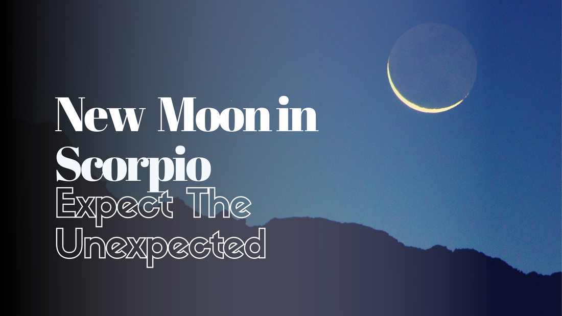 New Moon in Scorpio 🌑